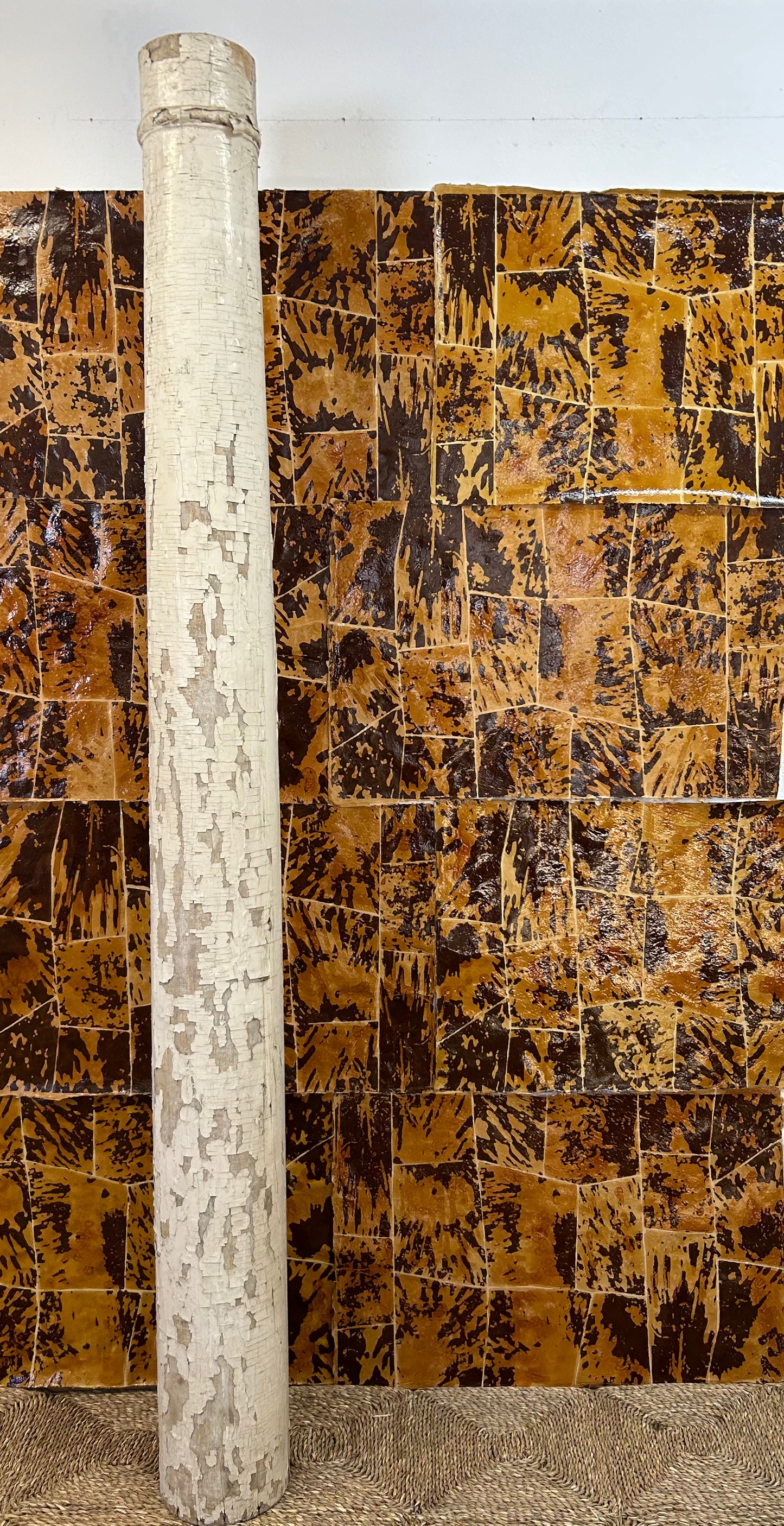 Tortoise Shell